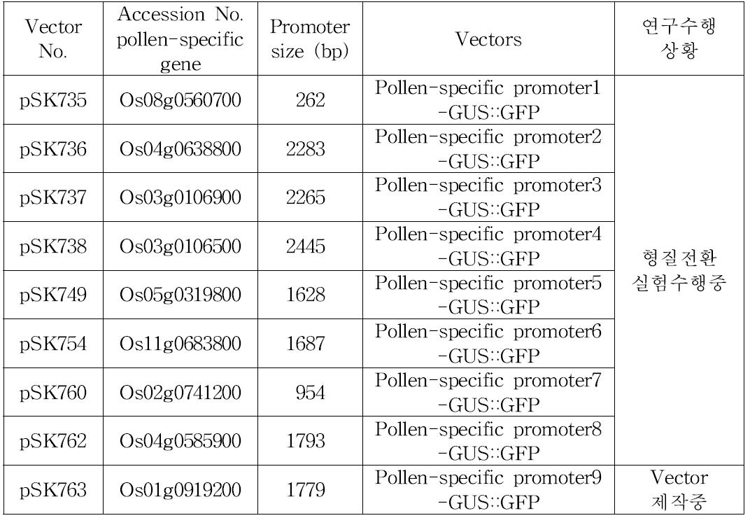 제작된 9종의 화분 특이적 발현 vectorsalc 현재 연구수행 현황