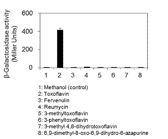 The expression of toxA regulated by ToxR and the coinducer toxoflavin or its derivatives was measured in the biosensor strain COK71.