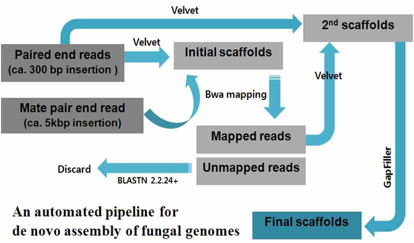 신규 유전체 데이터의 de novo 어셈블리를 위한 파이프라인 구축 결과