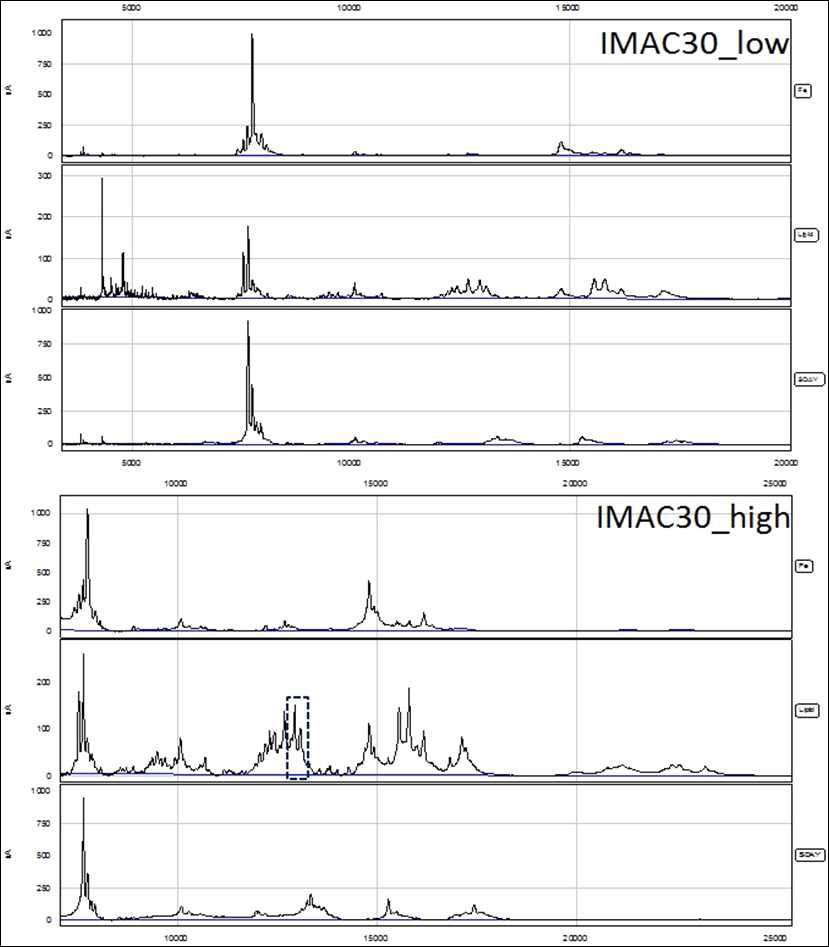 SELDI-TOF 기기에 IMAC30 protein chip을 이용한 노랑다발동충하초의 단백체 프로파일링 분석 결과.