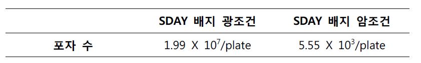 광조건과 암조건에서 14일 배양 후 포자 형성 차이