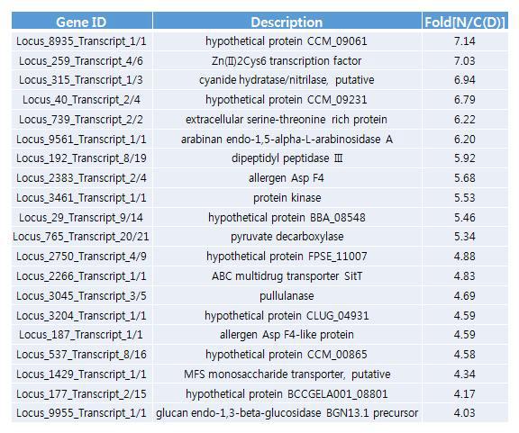 14일 배양시 광조건 대비 암조건에서 up regulation되는 상위 20개 유전자.