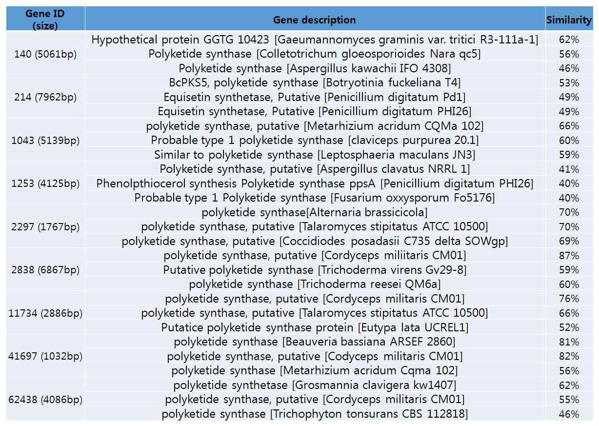 붉은자루동충하초의 PKS amino acid sequence와 다른 곰팡이 PKS amino acid sequence 유사도.