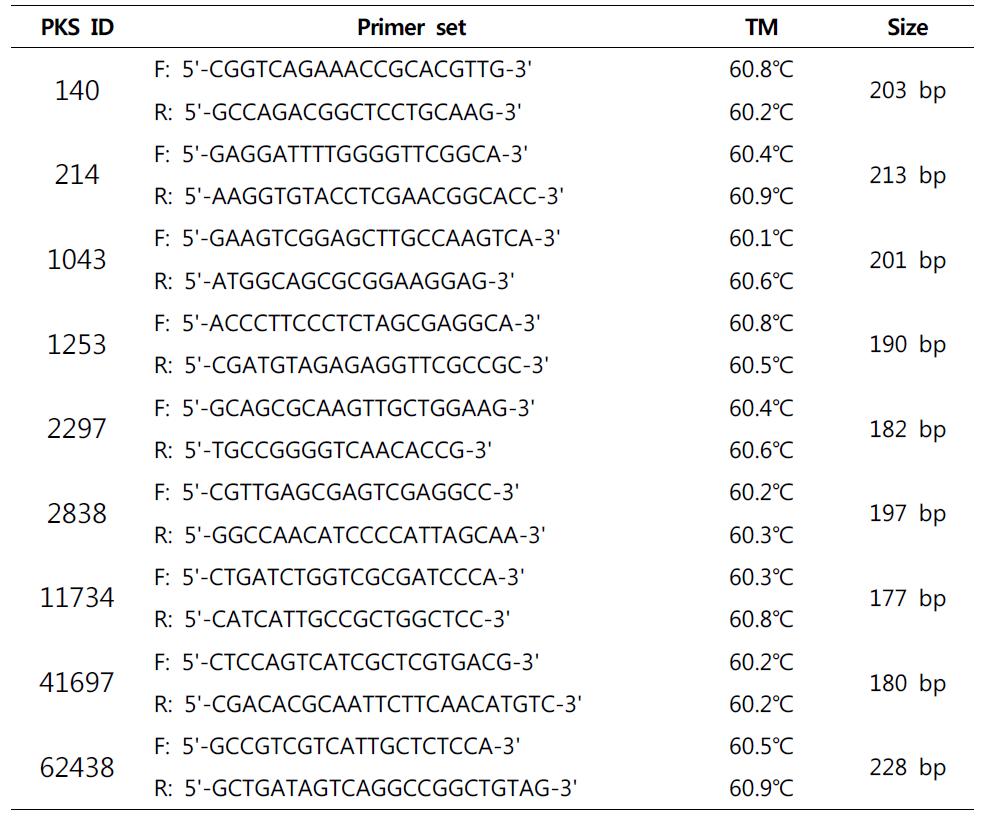 붉은자루동충하초 PKS 유전자 증폭을 위한 Real-time PCR 분석용 primer 정보