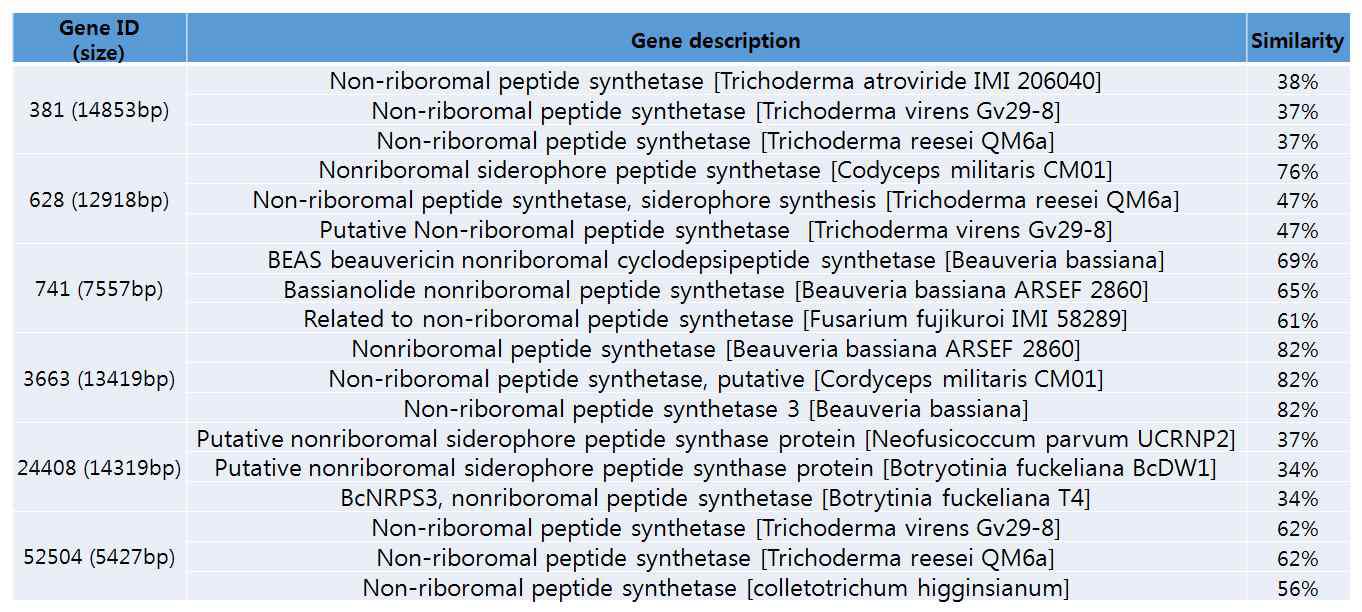 붉은자루동충하초의 NRPS amino acid sequence와 다른 곰팡이 NRPS amino acid sequence 간의 유사도 비교