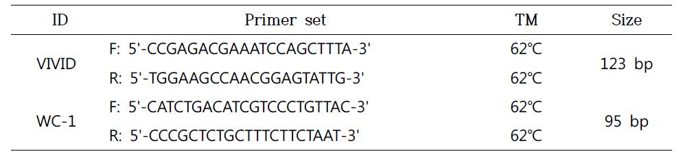 VIVID and WC-1 유전자의 증폭용 Real-time PCR primer 염기서열