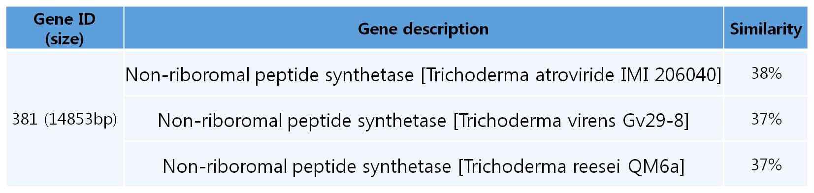 붉은자루동충하초의 NRPS 381 amino acid sequence와 다른 곰팡이 NRPS amino acid sequence 간의 유사도 비교