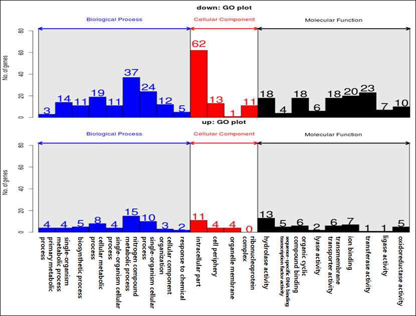 암조건에서 3일 배양하였을 때 wild type 대비 mutant의 발현한 유전자의 GO 분석.