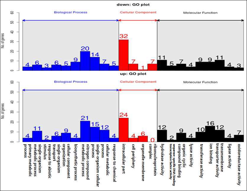 암조건에서 5일 배양하였을 때 wild type 대비 mutant의 발현한 유전자의 GO 분석.
