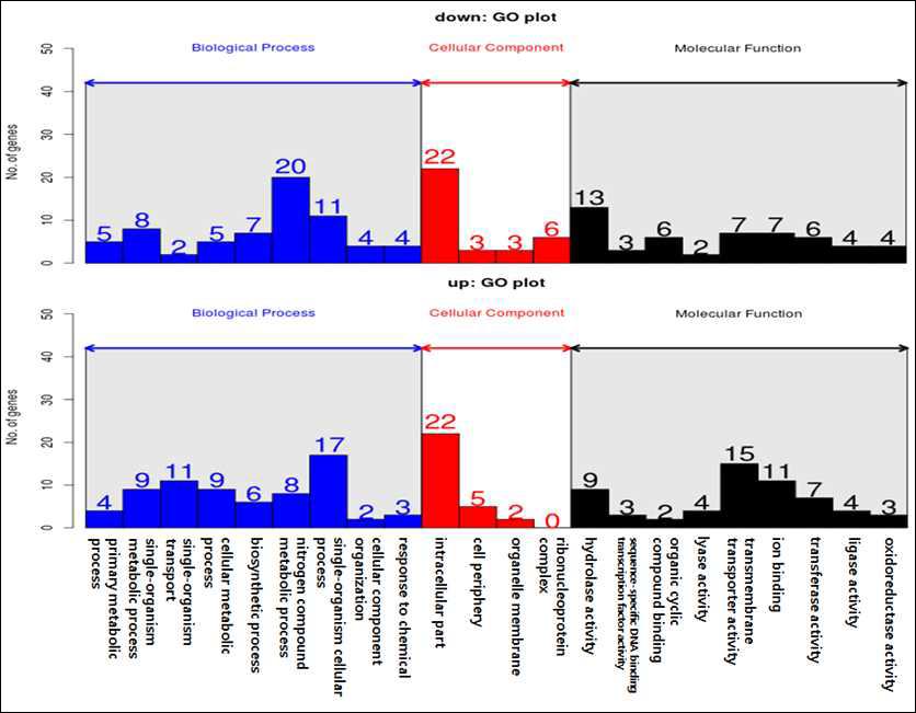 암조건에서 14일 배양하였을 때 wild type 대비 mutant의 발현한 유전자의 GO 분석.