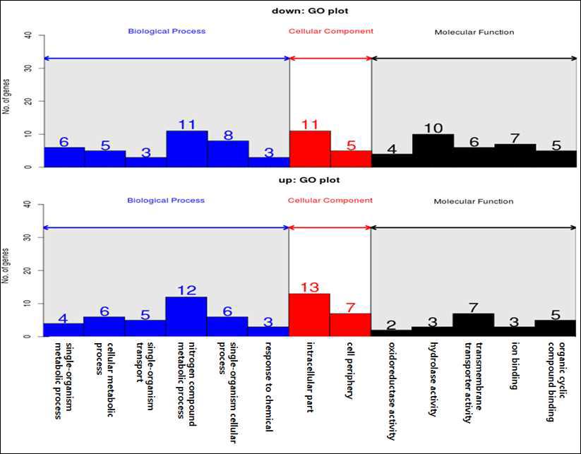 광조건에서 3일 배양하였을 때 wild type 대비 mutant의 발현유전자 GO분석.
