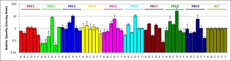 1M381 균주의 광/암 조건과 시기에 따른 PKS 유전자 발현 비교. A: 3일 광조건, B: 3일 암조건, C: 5일 광조건, D: 5일 암조건, E: 14일 광조건, F: 14일 암조건. House keeping gene: actin gene.