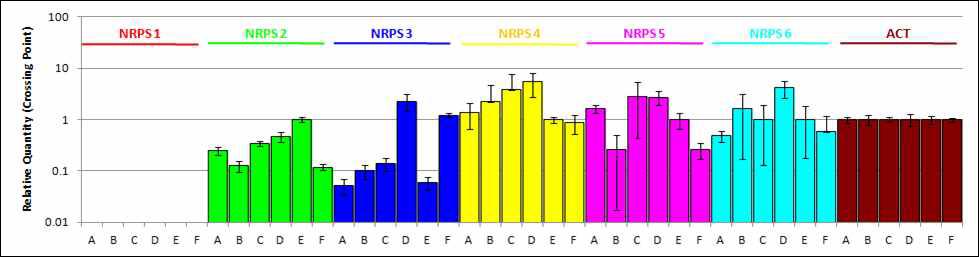 1M381 균주의 광/암 조건과 시기에 따른 NRPS 유전자 발현 비교. A: 3일 광조건, B: 3일 암조건, C: 5일 광조건, D: 5일 암조건, E: 14일 광조건, F: 14일 암조건. House keeping gene: actin gene