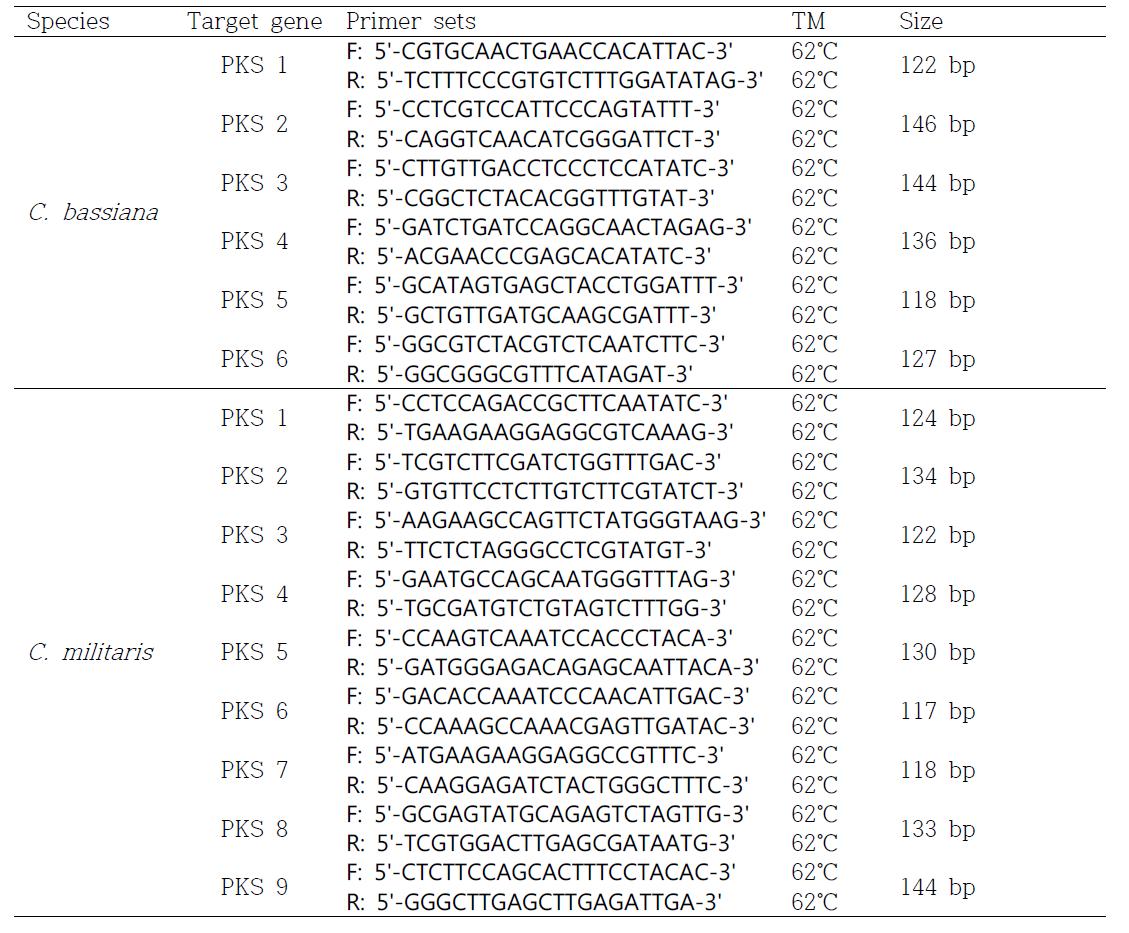 Real-time PCR을 위한 노랑다발동충하초와 번데기동충하초의 PKS 유전자의 primer 염기서열