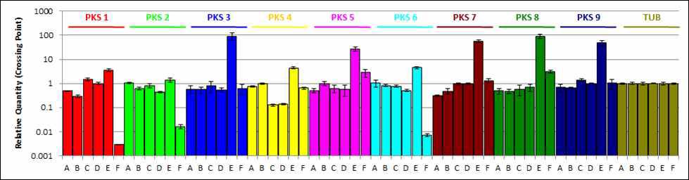 번데기동충하초 균주의 광/암 조건과 시기에 따른 PKS 유전자 발현 비교.