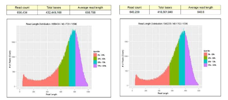 454 titanium 플랫폼으로 생산한 Read length 분포