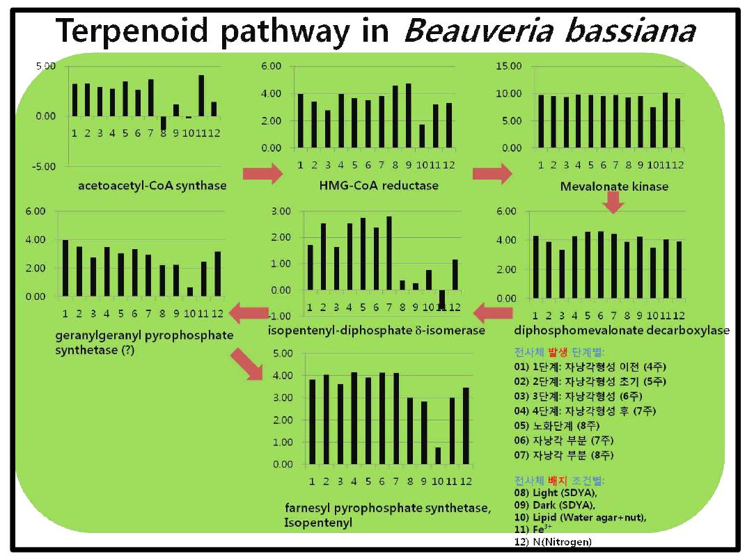 Terpenoid pathway 전사체 결과표