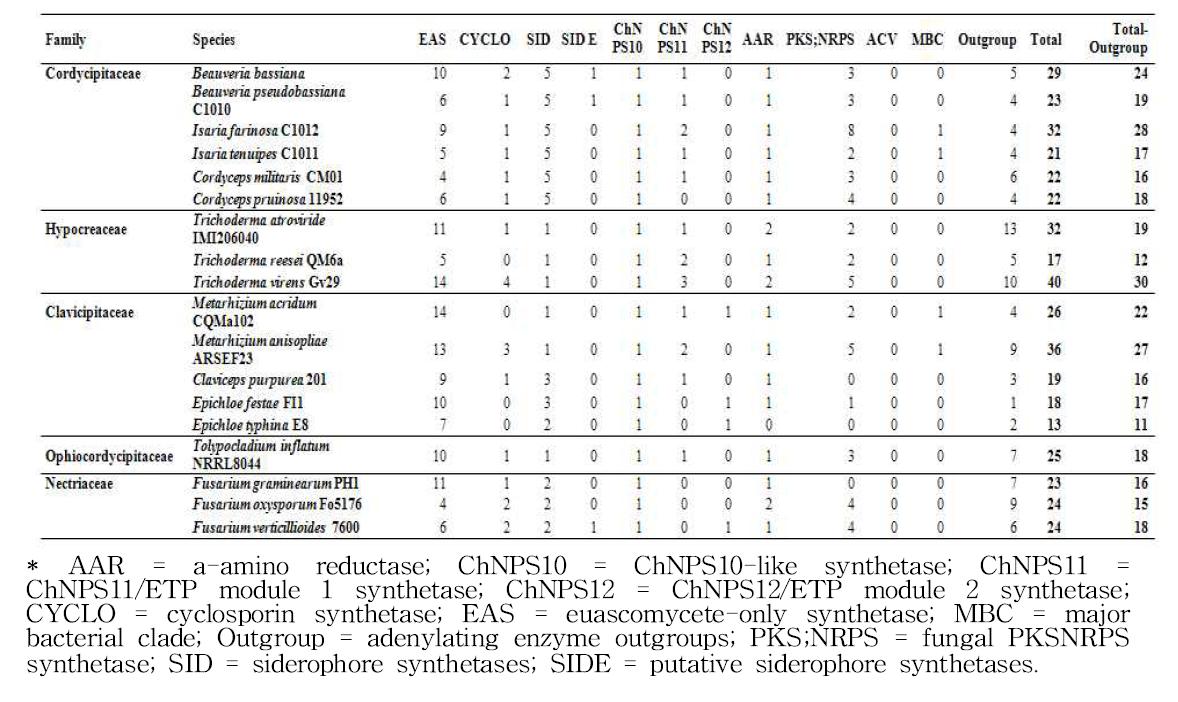 Beauveria bassiana의 유연종들의 NRPS 계열 유전자들의 subfamily 구분