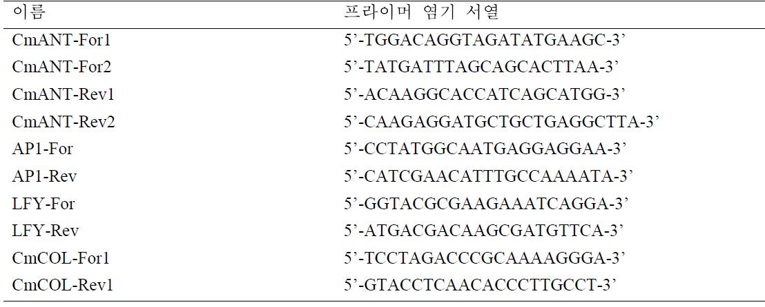 AtARF18 또는 CmFT 형질전환 국화의 형질발현 검증용 분자마커 유전자의 발현량 확인
