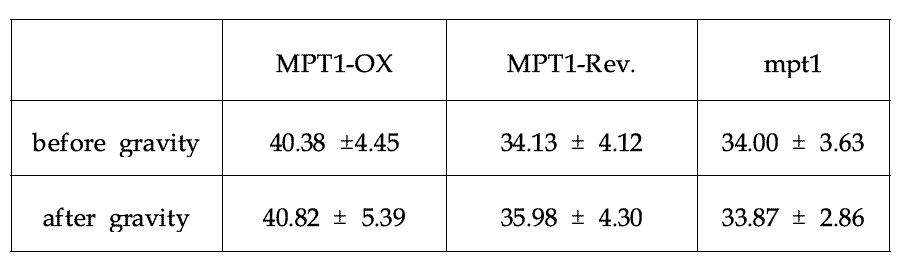 정상적인 조건에서 자란 mpt1 변이체, 과발현 그리고 정상체의 pulvinal 조직을 gravity의 방향을 바꾸기 전 (before gravity)과 바뀌고 나서 3일 후 (after gravity)의 pulvinal 조직의 표피세포의 폭 (width)을 잰 수치이다.