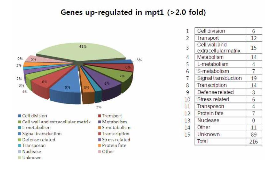 mpt1의 pulvinal 조직에서 2배 이상의 발현이 유도되는 유전자들의 분류