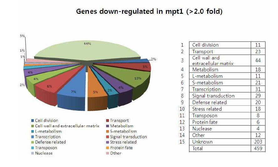 mpt1의 pulvinal 조직에서 2배이상의 발현이 억제되는 유전자들의 분류