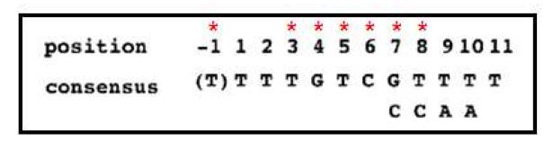 IDD DNA binding domain과 결합할 것으로 예상되는 motif 염기서열