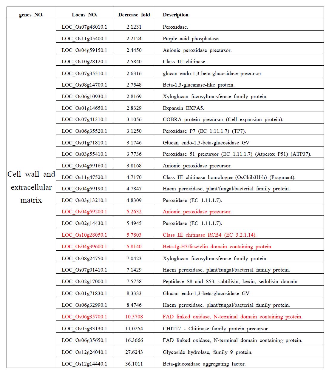 mpt1의 pulvinal 조직에서 2배 이상의 발현이 유도되는 cell wall과 extracellular matrix에 관여하는 유전자들 중 IDD binding motive을 가지고 있는 12개의 유전자