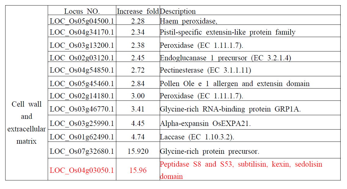 mpt1의 pulvinal 조직에서 2배 이상의 발현이 유도되는 cell wall과 extracellular matrix에 관여하는 유전자들 중 IDD binding motive을 가지고 있는 12개의 유전자