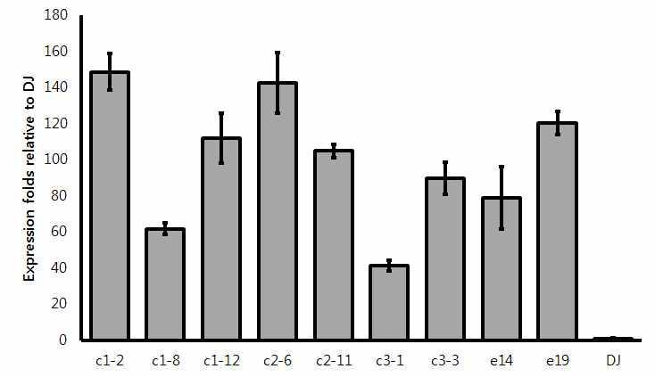 qRT-PCR를 이용하여 동진벼의 MPT1 mRNA 양과 비교하여 %로 나타낸 도표이다.