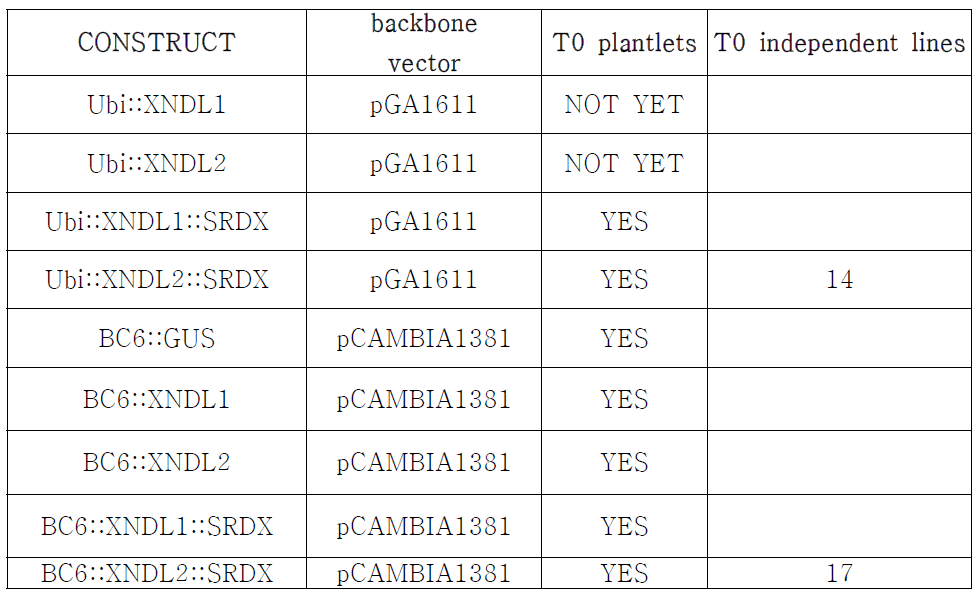 형질전환체가 생산 중인 vector list.