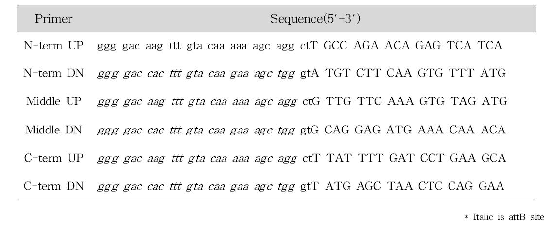 Primers used for PCR of N-term, Middle and C-term