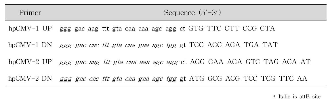 Primers used for PCR of hp-CMV1 gene and hp-CMV2 gene