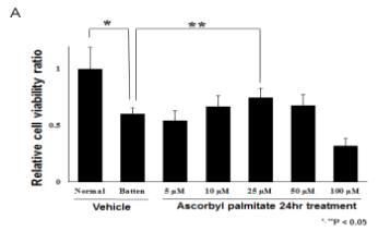 Ascorbyl palmitate 약물의 생존율 측정 결과를 통한 최적 농도 및 시간 선정.