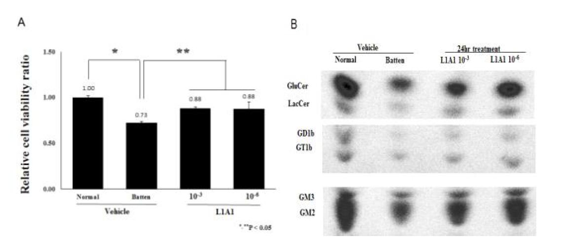 L1A1의 처리에 따른 세포 생존율 변화 양상 측정 (A)과 지질 분석을 통한 지질개선 효능 검증 (B).