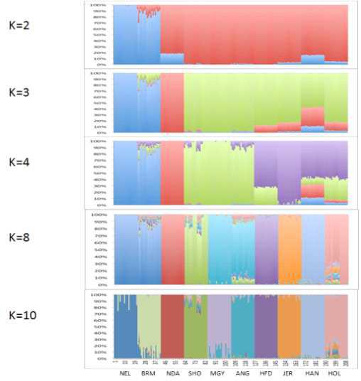 Co-ancestral analysis using STRUCTURE.