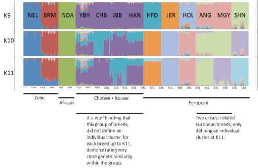 Including of Asian breeds for STRUCTURE.