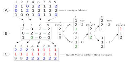 Haplotype Block추정 알고리듬.