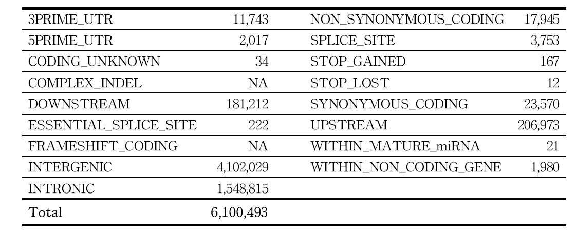 Functional class of identified putative SNPs.