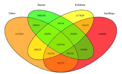 Venn diagram showing the overlap of all detected single nucleotide polymorphisms in the Hanwoo, Jeju Heugu, Chikso, and Korean Holstein genomes.