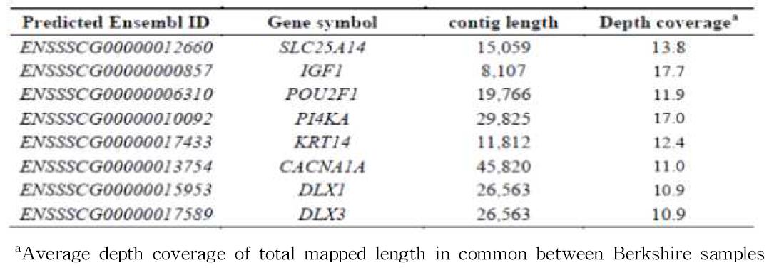 Predicted gene list related to meat quality from Berkshire specific aligned contigs.