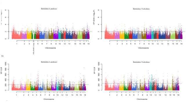 Results of two statistical analyses for detection of positive selection signature. Each dot represents the maximum score in the non-overlapping 25kb genomic region.