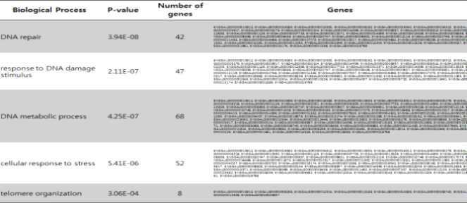 Significant biological process for common nsSNP of Korean Native Chicken(KNC).