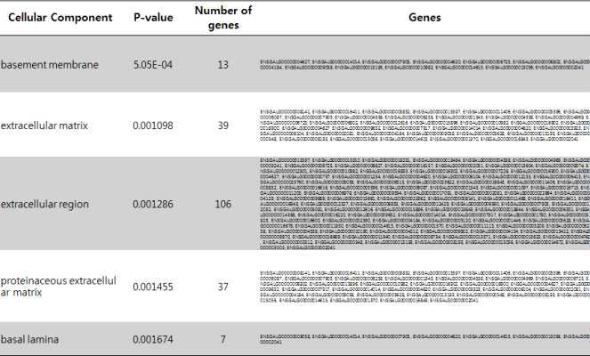 Significant cellular component for common nsSNP of Korean Native Chicken(KNC).