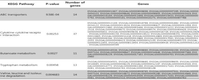 Significant KEGG pathway for common nsSNP of KNC.