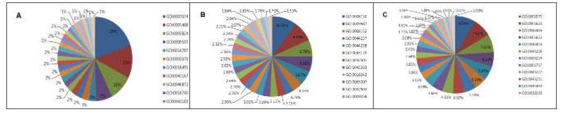 Functional categorization of 9373 SmPUs using the Gene Ontology classification database. A total of 9373 SmPUs of ≤100 AA in length were selected for the analysis of antimicrobial peptides.