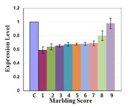 Gene expression level of IGF-1 using Real-time PCR in Korean cattle according to marbling score 1 to 9. The values represent the mean±S.D.; C: Control(GAPDH).