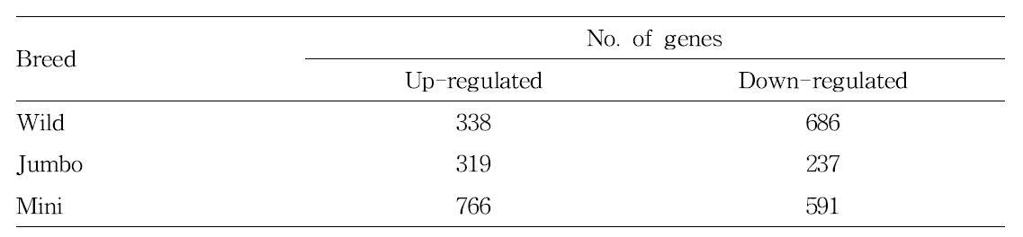 근육에서 품종 특이적 차등발현유전자 수.