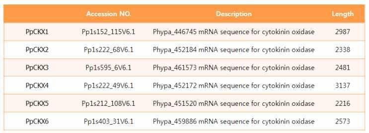 Moss Physcomitrella patens의 cytokinin Oxidase (CKX) family