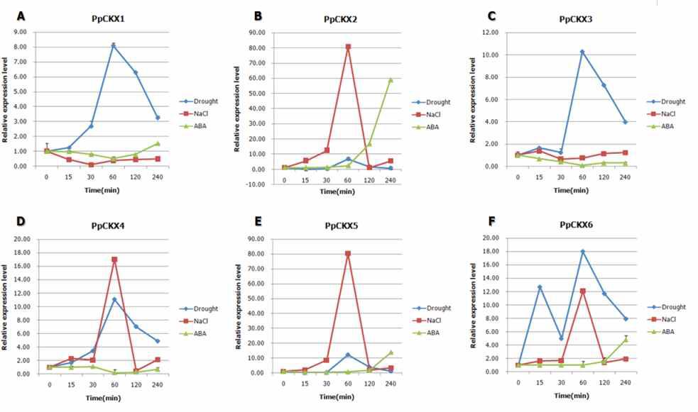 다양한 abiotic stress에 대한 CKX 유전자들의 발현 양상 확인.
